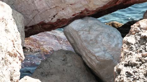 en una orilla rocosa del mar