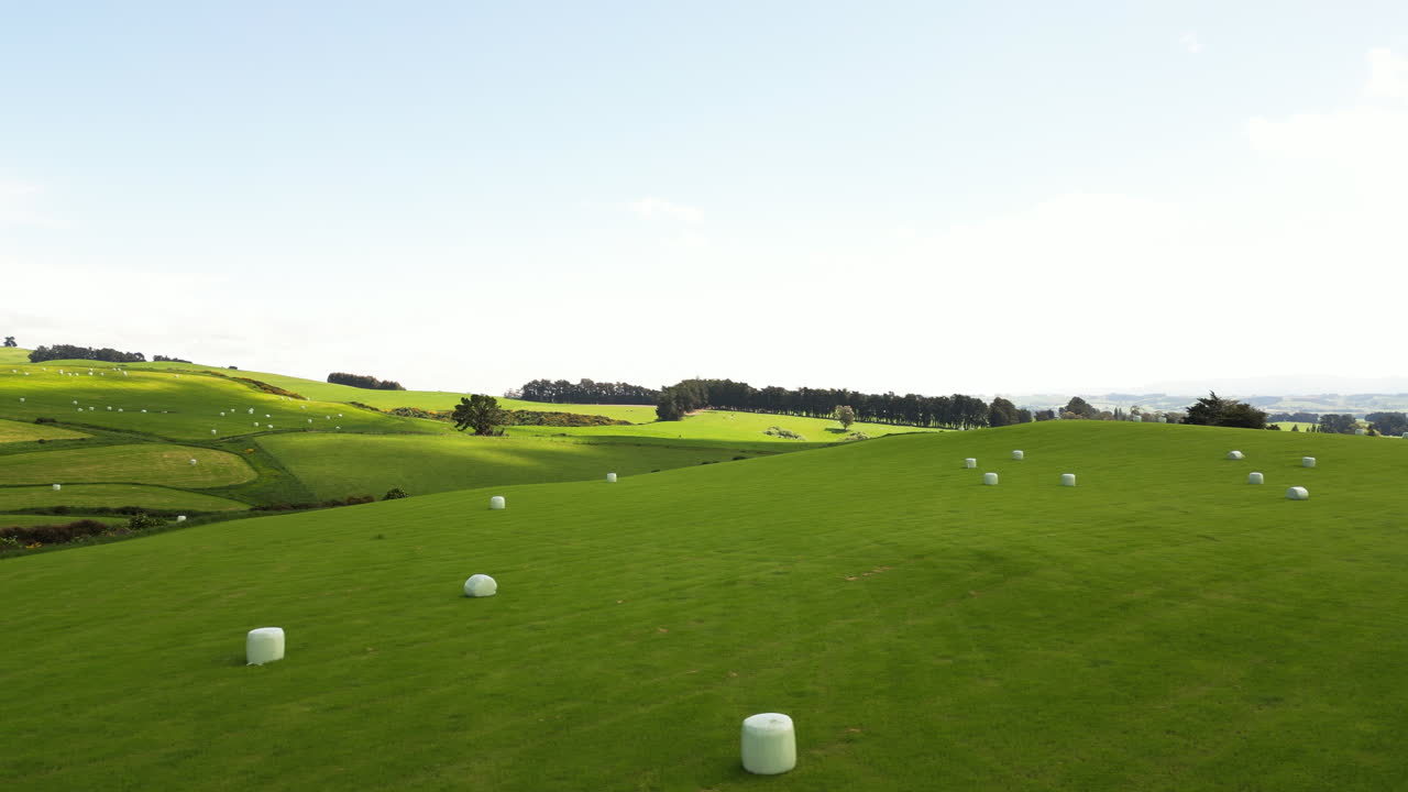 건초 더미가 있는 드넓은 푸른 들판의 공중 패닝 뷰