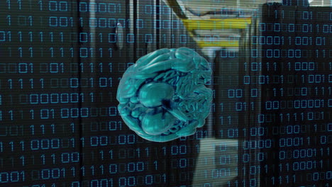 animación del cerebro, codificación binaria y procesamiento de datos a través de servidores informáticos