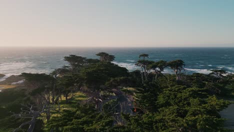 Aerial-shot-over-the-trees-towards-the-sea-while-cyclist-riding-a-bike-on-the-road,-drone