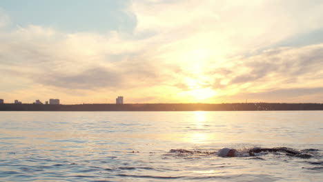 woman dressed in wetsuit and swimming cap 1