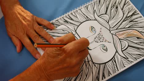 senior woman drawing with a pencil