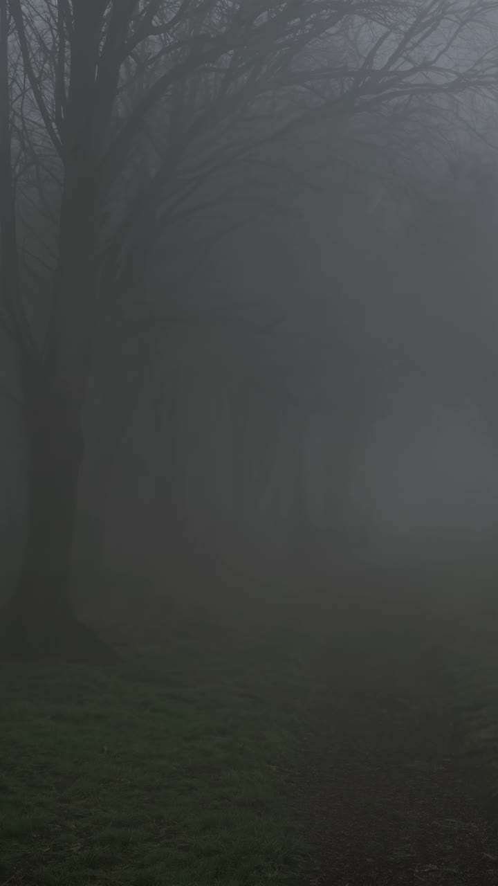 Eerie fog envelops a landscape, captured from a low angle. The misty atmosphere evokes a mysterious