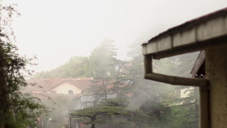 shift focus onto dense fog movement against a scenic background of houses and tall trees in mussoorie, slow motion handheld shot.