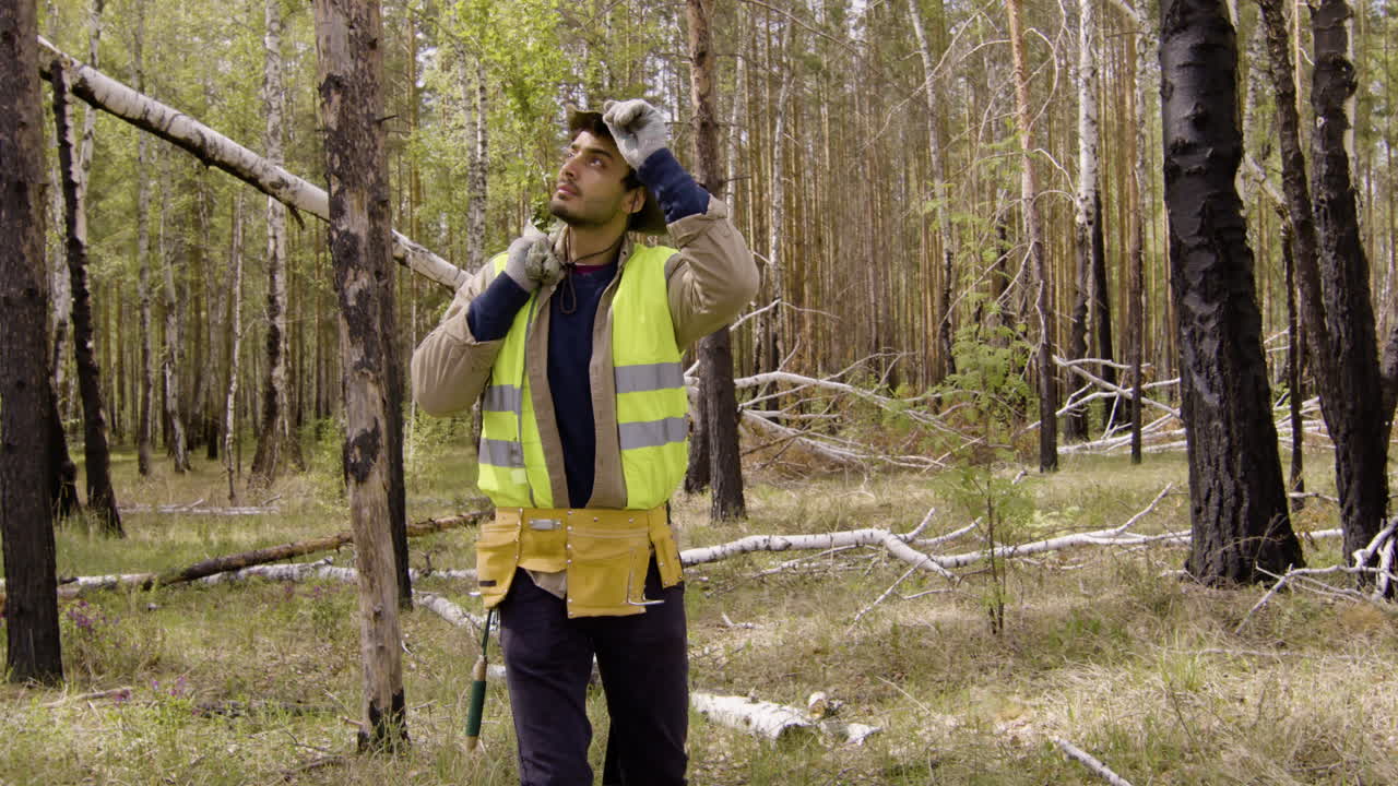 activista caucásico que lleva pequeños árboles en un saco mientras camina por el bosque