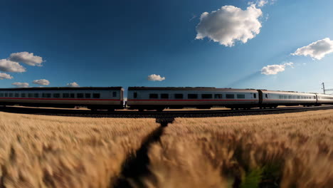 train in a wheat field