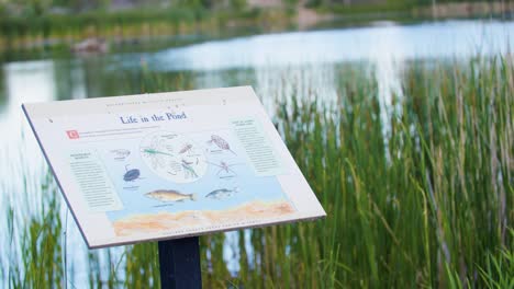 an information sign explaining life in the pond at walden ponds