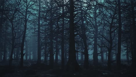 looped animation of flying through a scary forest