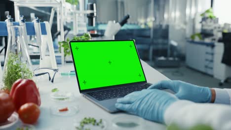 científico masculino trabajando en una computadora portátil con pantalla verde. el microbiólogo está con guantes de goma en un laboratorio de alimentos moderno y brillante con equipos tecnológicos avanzados.