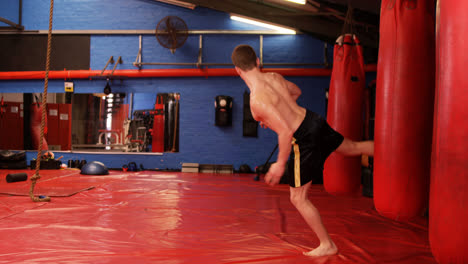 boxer practicing boxing with punching bag