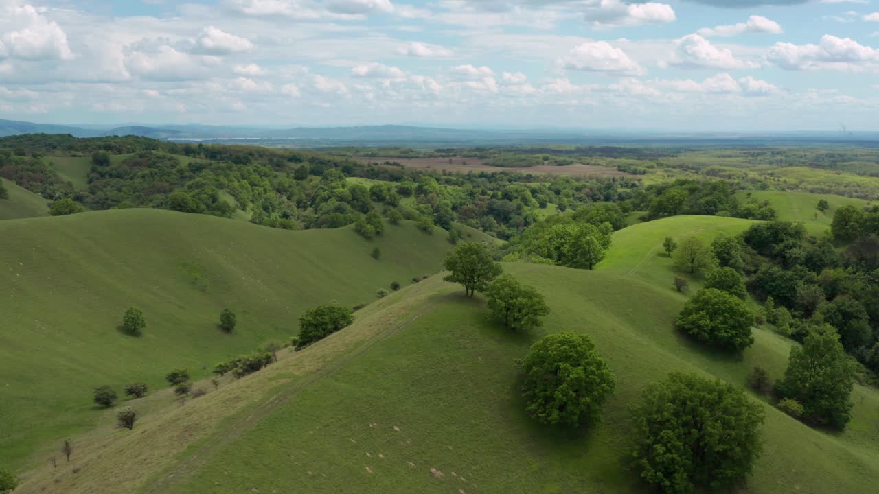 hermosas dunas de arena verde, desierto de arenas deliblato en pescara, serbia, antena 4k