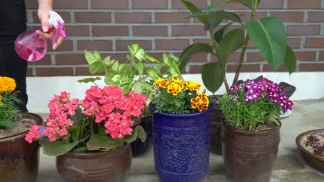 watering flowers in the garden of a country house