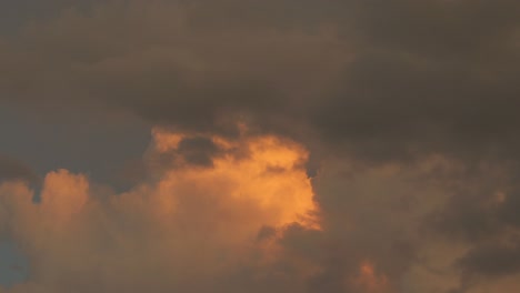 Pájaro-Volando-A-Través-De-Una-Gran-Formación-De-Nubes-Anaranjadas-Moviéndose-Durante-La-Puesta-De-Sol,-Australia,-Gippsland,-Victoria,-Maffra