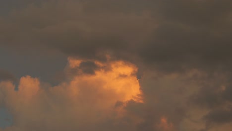 pájaro volando a través de una gran formación de nubes naranja moviéndose durante la puesta de sol australia gippsland victoria maffra