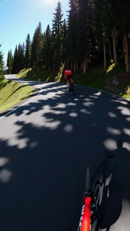 cycling through a sunny mountain forest