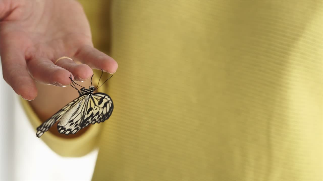 Woman holding a butterfly