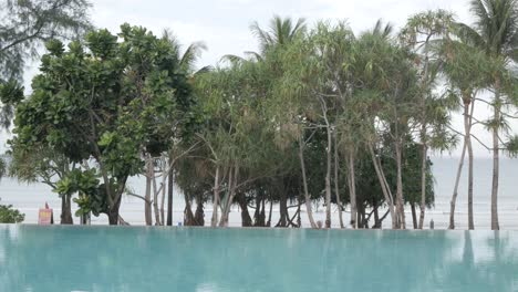 Seamless-Swimming-Pool-Reflecting-On-A-Sunny-Day-with-coconut-palm-tree-near-tropical-sea-beach,-clear-water-on-vacation-summer-holiday-resort-background