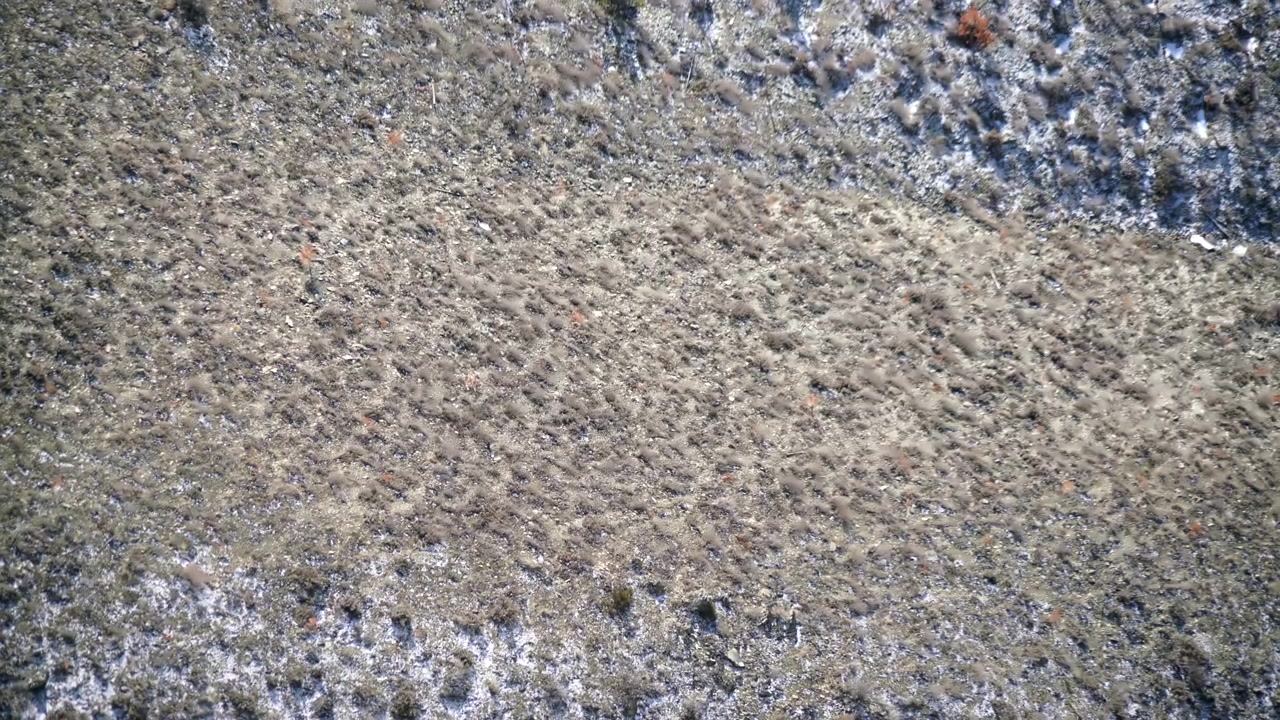 Aerial View of Snow Melting on a Desert Hillside