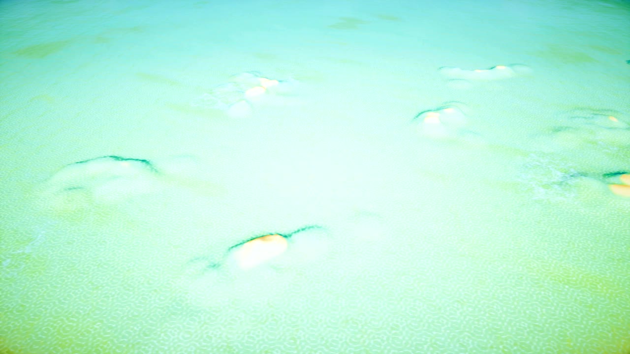 뷰 비치 샌드 아일랜드 4k