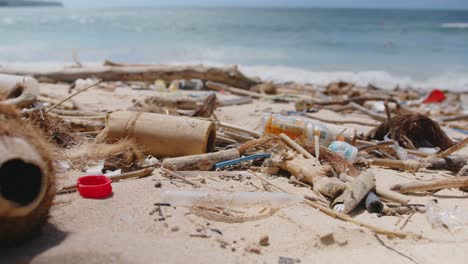 impacto de los residuos plásticos en los ecosistemas costeros en un entorno de playa sereno