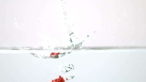 Raspberries-falling-in-water-on-white-background