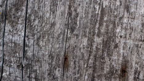 stop motion animated wood texture background useful for old films effects using opacity tool or luma matte