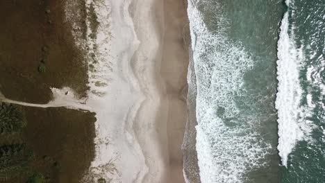 Zooming-in-Bird-eye-view-of-Medland-Beach,-Great-Barrier-Island,-New-Zealand