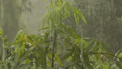 rain season in thailand, slow pan right of abstract rainy background