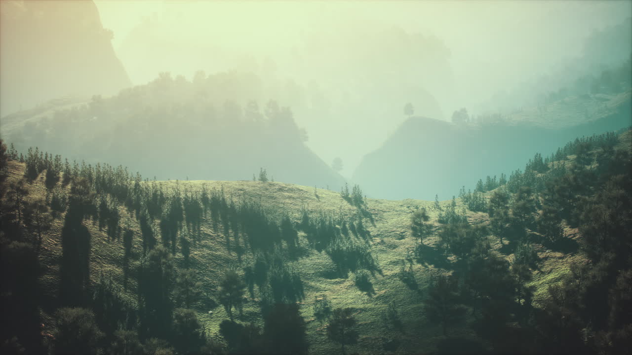 bosque de otoño en colinas rocosas verdes