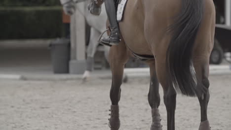 slowmotion shot van het onderste uiteinde van een paard dat voorbij rijdt met een ruiter bovenop terwijl een ander paard voorbij rijdt uit focus log