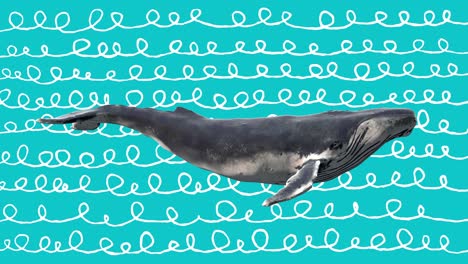 swimming blue whale. abstract art concept with doodle draw shapes. realistic 3d character animal. background in creative stop motion style. graphic colorful design. cartoon fashion loop animation.