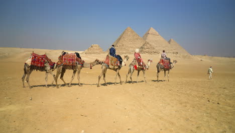 A-Caravan-Of-Camels-With-People-Walking-Along-The-Desert-Sand,-Pyramids-In-Background-In-Cairo,-Egypt---wide-shot