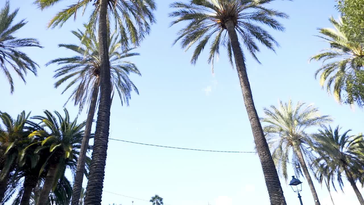 은 파란 하늘 아래의 나무