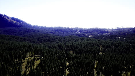 lush green trees blanket the rolling hills reaching towards a clear blue sky