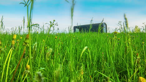 Toma-En-ángulo-Bajo-De-Un-Hermoso-Día-De-Primavera-Con-Flores-Amarillas-En-Plena-Floración-En-Un-Campo-De-Hierba-Verde-Con-Una-Cabaña-Rectangular-De-Madera-A-Distancia-En-Un-Día-Nublado-En-Un-Lapso-De-Tiempo