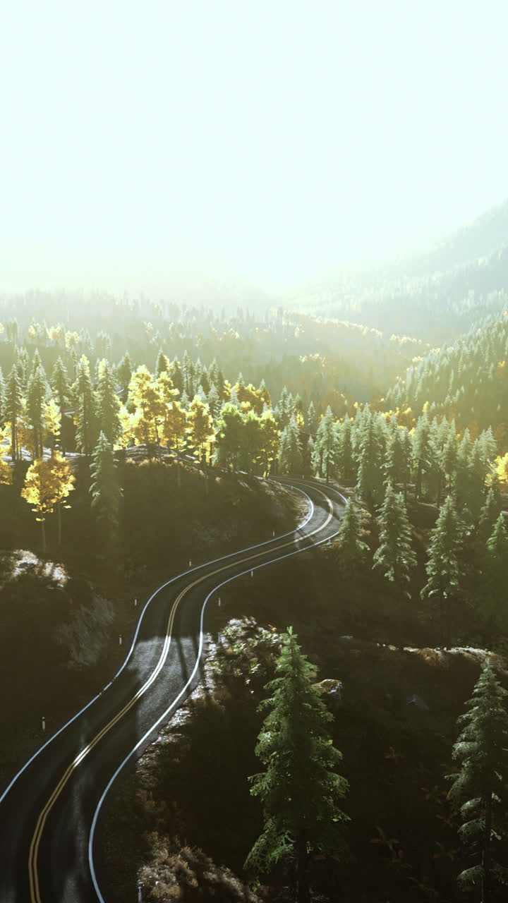 panorámico camino sinuoso a través del bosque de otoño