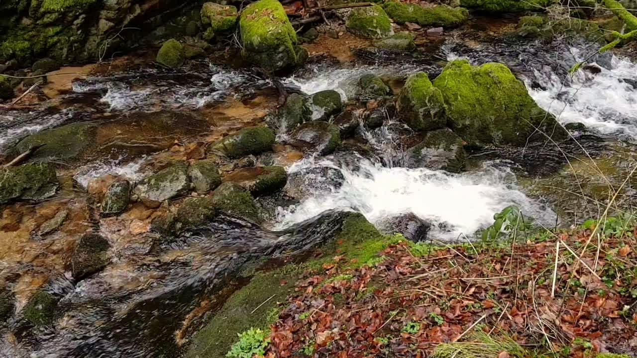 Static view of water flow through rocks with moss, Black Forest Germany