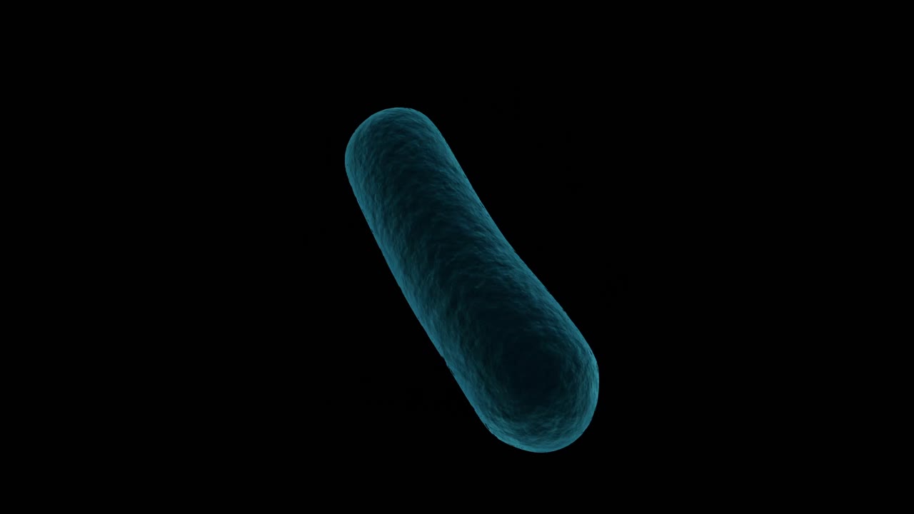 Digital generated bacteria cell against white background