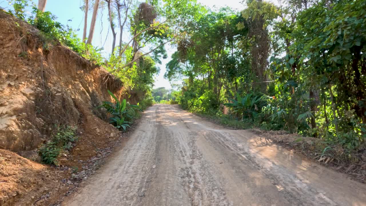Vehicle travels winding dirt road through lush tropical forest, daylight, wide-angle, smooth camera movement