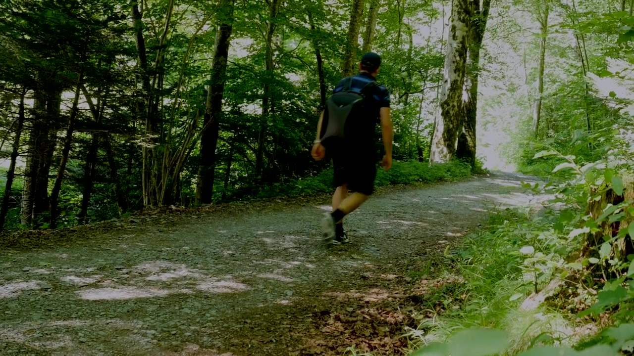 men walk in Forest