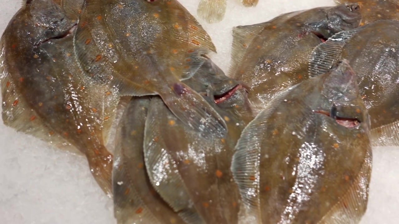 Fresh plaice fish with orange spots displayed on a bed of crushed ice, ready for sale at a seafood market