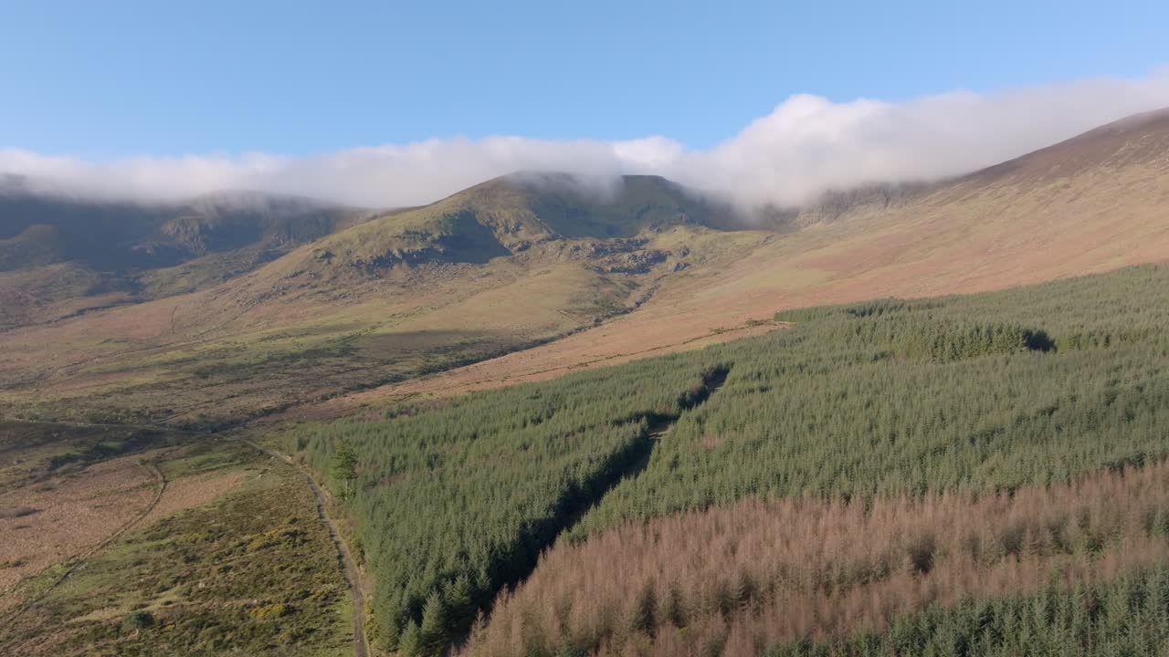 drone cinematográfico volando sobre la plantación forestal a las montañas comeragh montañas waterford irlanda día de invierno