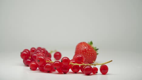 ripe red currants on its stalk and a delicious strawberry - close up shot