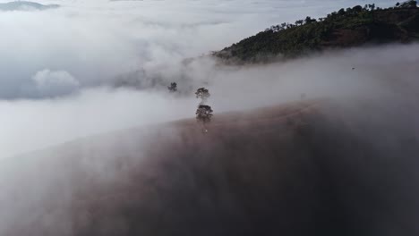 a stunning aerial perspective of morning fog drifting gently over the lush, green mountains of mae chaem, chiang mai, thailand. a perfect portrayal of tranquility and sustainability.