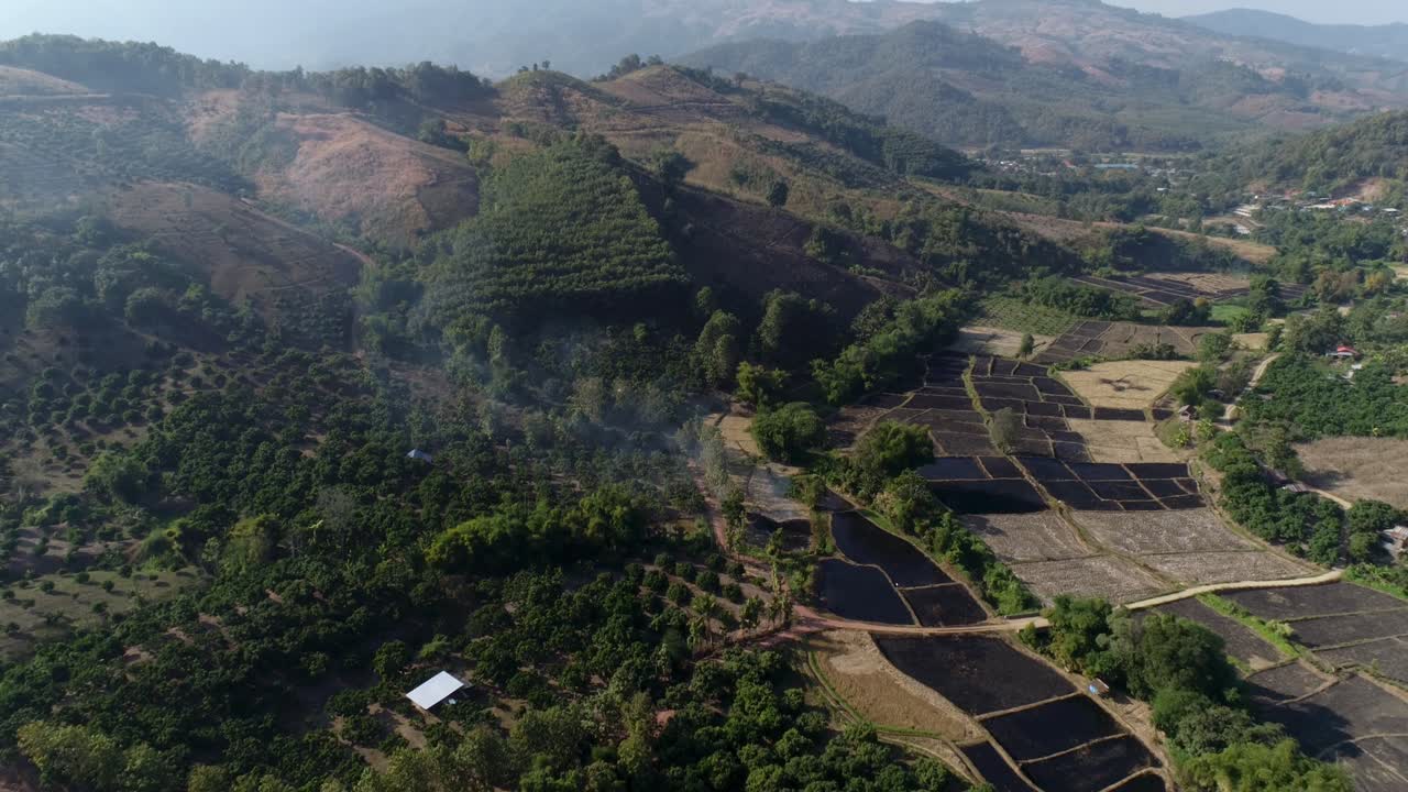 toma aérea de la plataforma rodante cultivo migratorio y campo de arroz agrícola