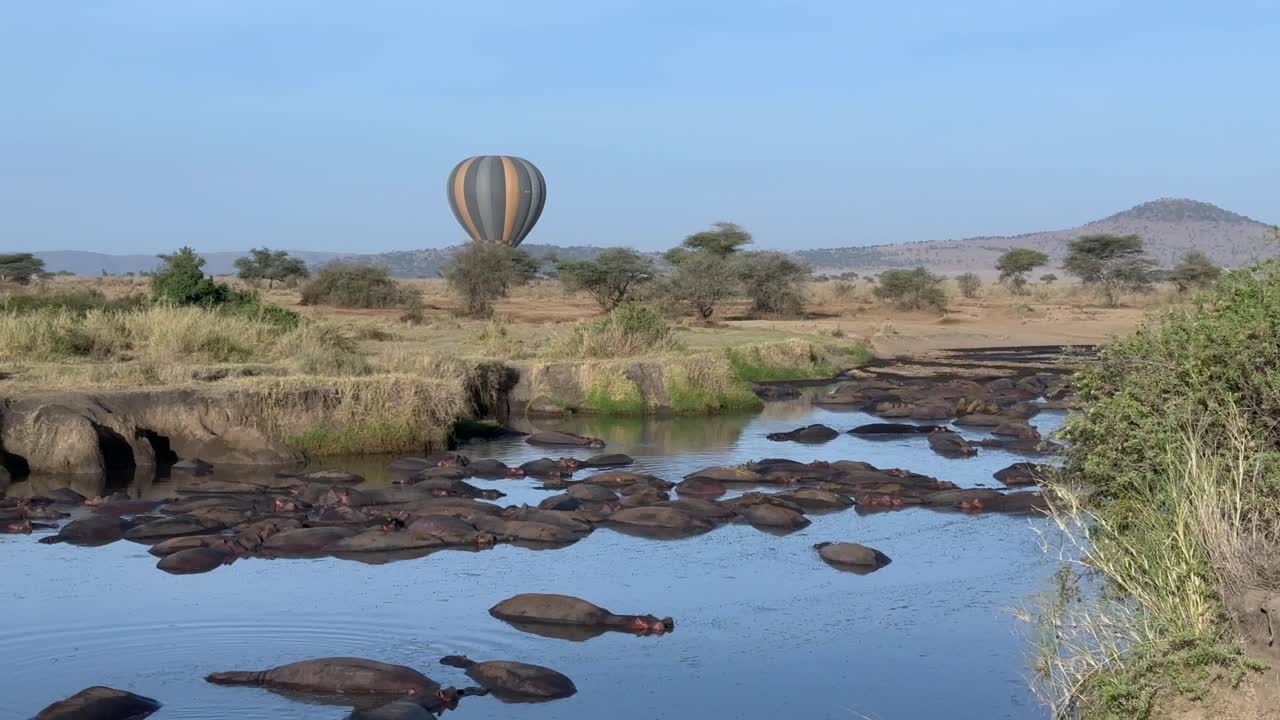 Mongolfiera che sorvola la savana vicino a un fiume dove riposano gli ippopotami. Parco nazionale del Serengeti in Tanzania