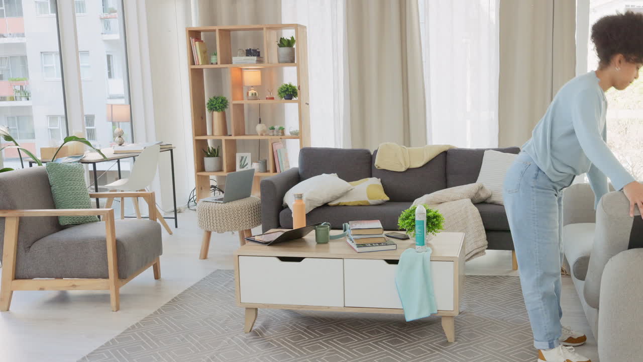 아프리카계 미국인 여성 봄 청소 빠른