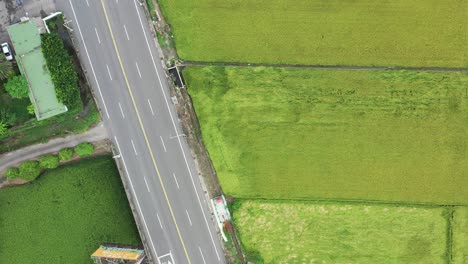 bird eye view of aerial drone footage of rice paddy field with road and traffics to show the contrast at doliu city taiwan