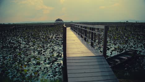 boardwalk leads out into the marsh towards a pavilion in a national park in thailand