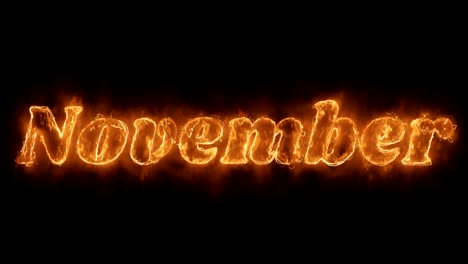 november word hot animated burning realistic fire flame loop.